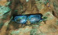 David Ben-Gurion's stolen glasses found, thief arrested