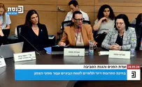 צילום: ערוץ הכנסת כשח"כ מלינובסקי הציעה להגיש שאילתה לנסראללה