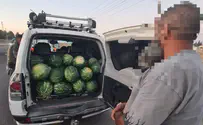 ערבים ניצלו את המלחמה וגנבו מחקלאי מפונה