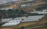 "לא נהיה השבעה באוקטובר הבא"