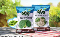 איפה קונים כרובית וברוקולי כשרים לפסח?