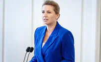 Danish PM assaulted in Copenhagen