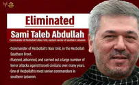 IDF eliminates senior Hezbollah commander