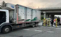 Нижняя Галилея. Автомобиль застрял под грузовиком. Двое погибших