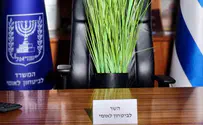 Цветочный горшок в кресле Бен-Гвира