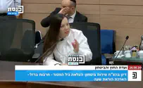 גוטליב נגד השידור מוועדת חוץ וביטחון