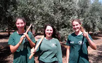 בחזית העורף