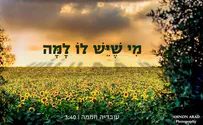 החדש של חממה: "מי שיש לו למה"
