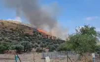 "השנה המאתגרת ביותר בתולדות רשות הטבע והגנים"