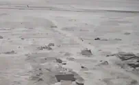 В Шеджайе уничтожено шесть туннелей