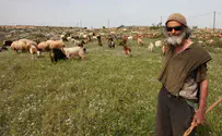 אחד היה אברהם הרצליך – מנהיג רועי הצאן