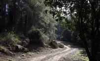 How the Middle Way can save us