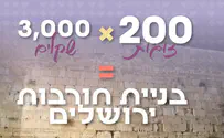 צילום: יח"צ מיזם מענק שידוכי המלחמה: 200 זוגות צועדים לחופה, 600,000 ש"ח חולקו למשדכים