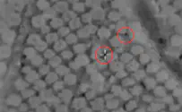 IDF eliminates two key Hezbollah terrorists in southern Lebanon