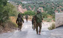 Soldiers conduct exercise simulating combat in enemy territory