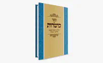 חזר למלאי: הספר שהפתיע את כל התחזיות