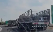 Грузовики без номеров едут из сектора Газы. Видео