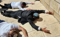 צפו: הרב אלישע וולפסון השתחווה ונשנק מבכי