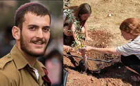 Beit El Honors Fallen Hero with Olive Orchard