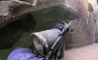 עגלת תינוק עם פצצה, גלנט: נפעל בכל העוצמה