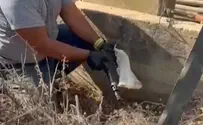 תת מקלע הוסתר ליד ארון חשמל בגליל | תיעוד