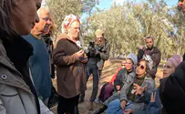 מעצרו של הבמאי - פגיעה בבטן הרכה שלנו