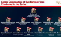 Heads of Hezbollah's elite Radwan Force eliminated