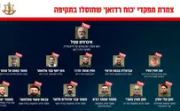 Ликвидированы 12 голов «Хизбаллы»