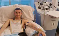 מלחמה על החיים