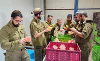 צילום: באדיבות המצלם בצל המלחמה: הרבנות הצבאית נערכת לחגים