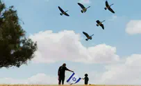 "הסיפור שלי – אופקים"