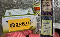 מבצע חוצה יבשות להשגת אתרוגים