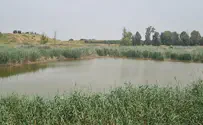 מסע בעקבות נדידת הציפורים