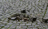 Germany: Nazi memorial stones stolen on October 7