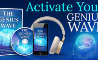 Review : The Genius Wave Uncovered