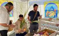 רבבות נטלו ארבעה מינים בסוכות חב"ד