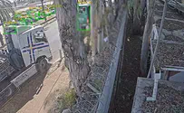 Terrorist speeds up and drives into bus stop