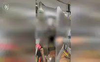 Illegal infiltrators found hiding in a refrigerator