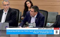 צילום: ערוץ כנסת ח"כ סגלוביץ' בוועדת החוקה: "יש לנו ראש ממשלה עבריין ומסוכן"
