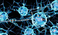 Researchers identify mutation specific to Parkinson's patients