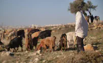 הנער שנפצע מירי לוחם מג"ב שוחרר לביתו