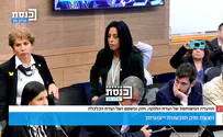 צילום: ערוץ כנסת "418 ימים בשבי, ועדיין מתעסקים בתווי חניה?" – עינב צנגאוקר זועמת בוועדה