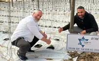הגרלת החלומות של דירת יוקרה בירושלים