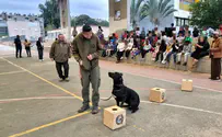 Working dog exhibition for Kiryat Malachi school