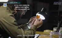 'חתירה למגע' נגד חרקים בפירות היבשים