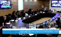 אחיו של הדר גולדין עזב את הוועדה בסערה