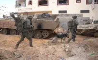 סקר: שפל באמון הציבור במוסדות המדינה