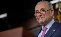 Chuck Schumer elected Senate minority leader