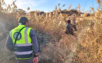 Israel Dog Unit finds body of man missing from Ofakim