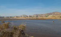 אל מסתרי אילת - הרופא שגידל תנין בביתו